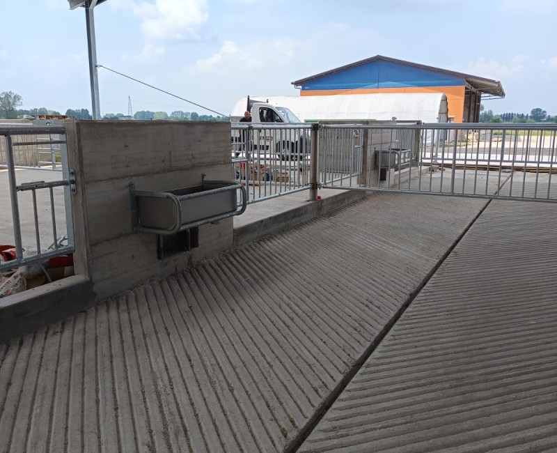 San Benedetto Po (MN)