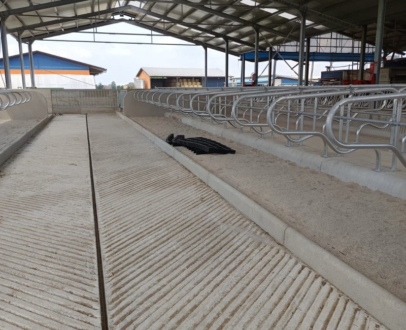 San Benedetto Po (MN)