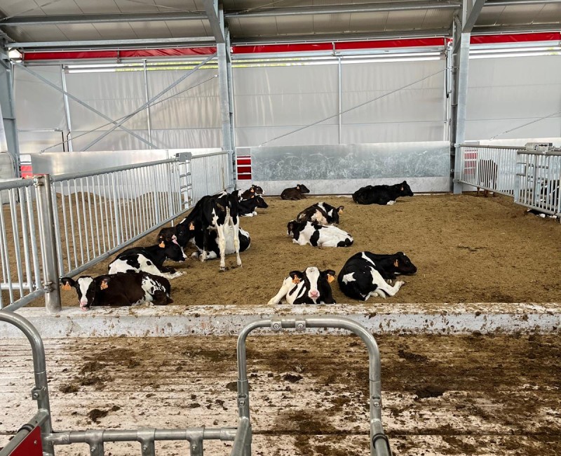 Casatico (MN) 