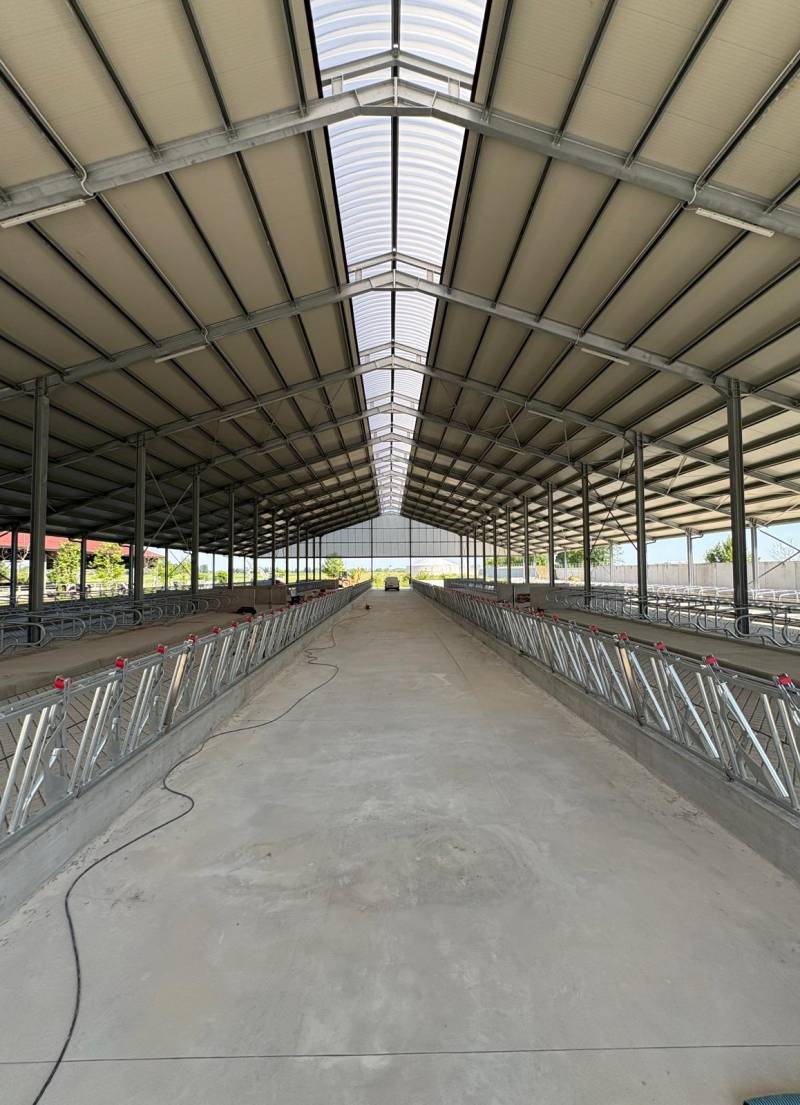 Riqualificazione e Manutenzione